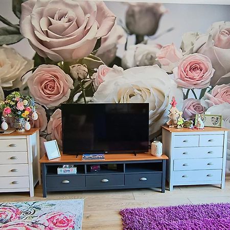 Sweet Garden Residence Брашов Экстерьер фото