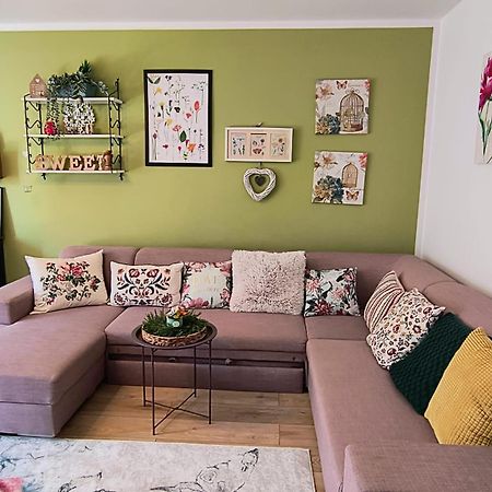 Sweet Garden Residence Брашов Экстерьер фото