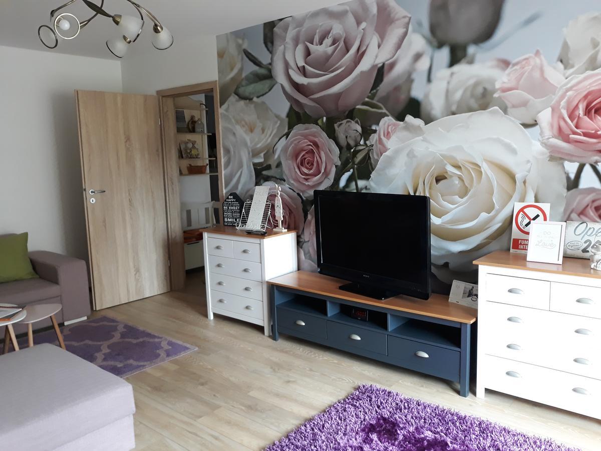 Sweet Garden Residence Брашов Экстерьер фото