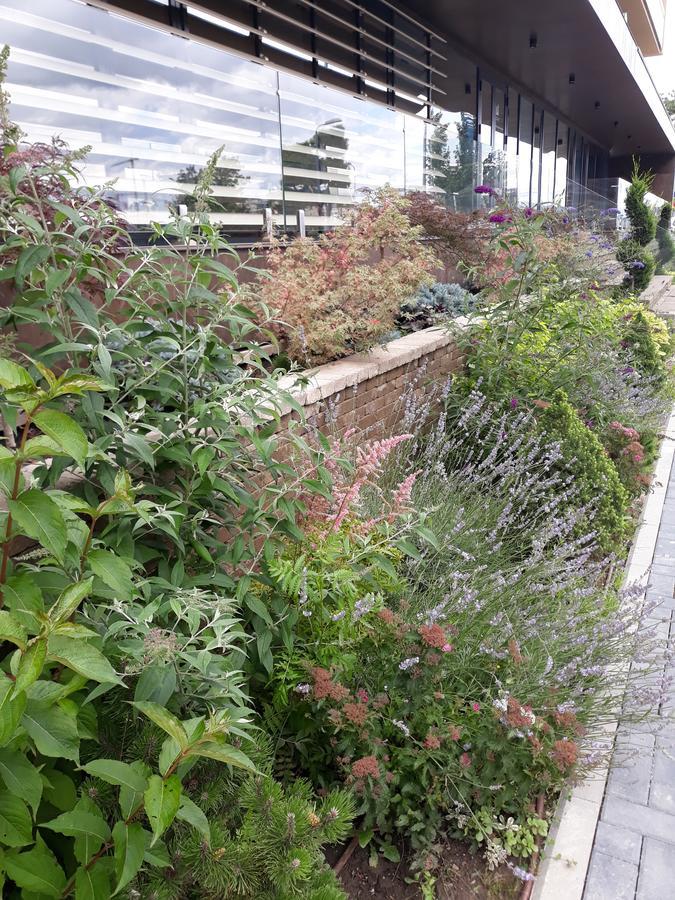 Sweet Garden Residence Брашов Экстерьер фото