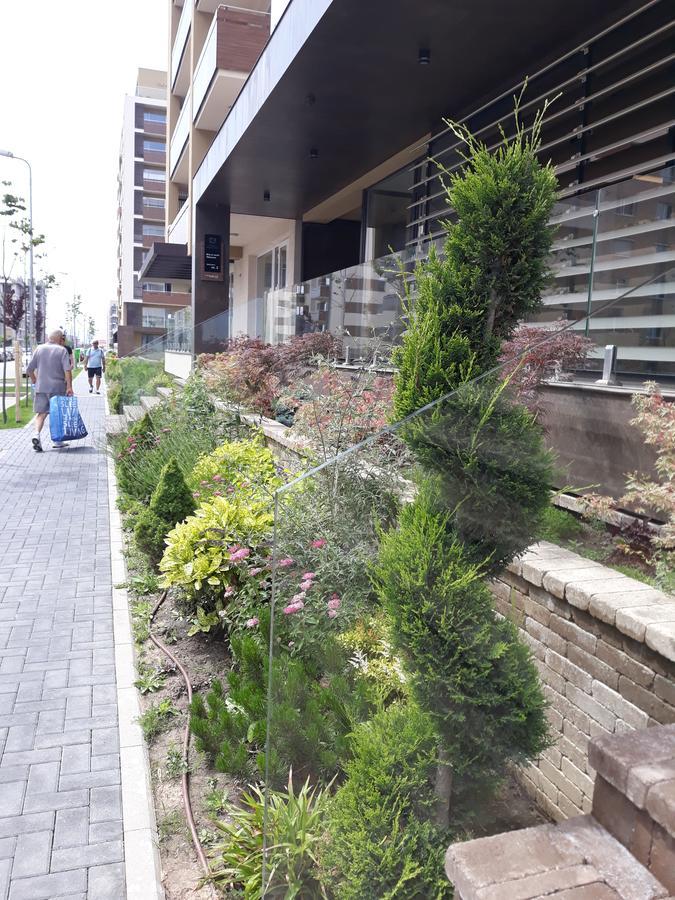 Sweet Garden Residence Брашов Экстерьер фото